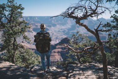 Sırt çantalı, ağaçların yanında uçurumun kenarında duran ve kayalık arazinin uçsuz bucaksız boşluğuna bakan, sıradan kıyafetli, tanınmayan kadın yolcuların arka plan görüntüsü.
