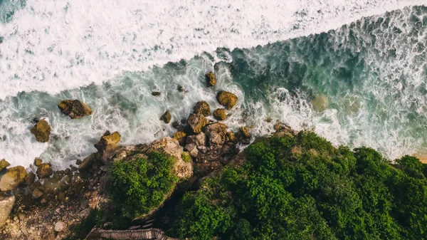 Costa Rochosa Com Oceano Ondulante Penhasco Cravejado Várias Plantas Verdes — Fotografia de Stock