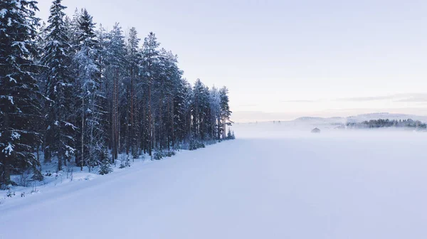 Häpnadsväckande Fågelperspektiv Över Dalen Täckt Med Dimma Före Soluppgången Vintern — Stockfoto