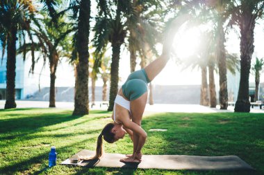 Baş aşağı duran esnek genç kız. Yoga dengesi. Asana açık havada çimenlikte güç ve dayanıklılık çalışıyor.