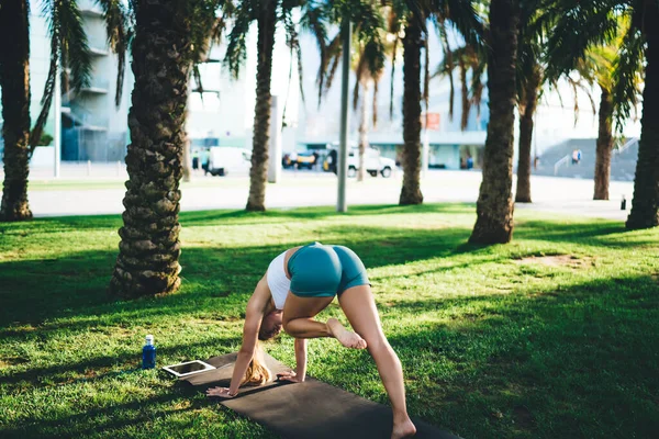 Back View Muscular Female Trainer Pumped Ass Doing Stretching Exercises — Stock Photo, Image