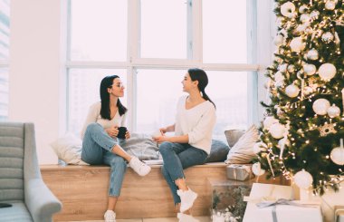 Gündüz vakti rahat bir odada Noel süslemeleri ile rahat bir odada dinlenirken, günlük kıyafetlerini giymiş, ahşap pencere pervazında oturan ve konuşan neşeli arkadaşların yan görüntüsü.