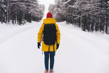 Norveç 'te kışın doğada seyahat ederken, ormanın yakınındaki karlı bir yolda sırt çantasıyla tanınamayan bir insanın arka görüntüsü.