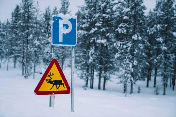 Зимнее Время Рядом Лесом Покрытым Снегом Норвегии Размещены Дорожный Знак — стоковое фото