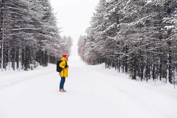 Norveç Kırsal Kesimlerinde Kış Günü Karlı Yolda Dikilen Kozalaklı Ağaçlara — Stok fotoğraf