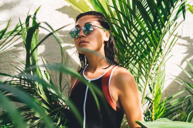 Islak vücutlu, güneş gözlüklü, kendine güvenen İspanyol kadın yaz güneşli günlerinde palmiye ağaçlarında dikilirken güzel havanın tadını çıkarıyor.