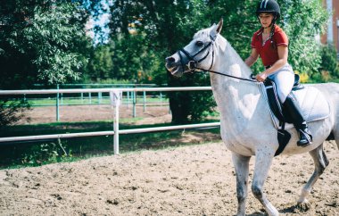 At biniciliği konsepti, beyaz profesyonel kadın jokey aktif giyimli ve siyah kasklı yaz kursları boyunca binicilik dışında güzel kısraklarla eğleniyor.