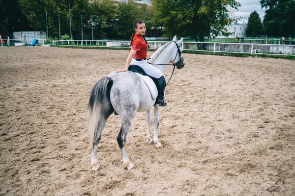 Rückenansicht Einer Reiterin Roter Uniform Die Sattel Sitzt Und Die — Stockfoto