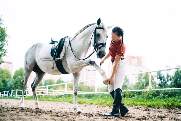 Professional Caucasian Female Jockey 20S Practicing Horseback Training Tricks Paddock — Stock Photo, Image