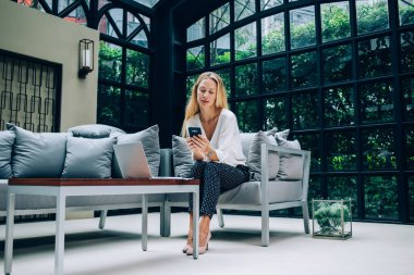 Bin yıllık postaları cep telefonuyla okuyan beyaz bir kadın teknolojiyle uzaktan yakından ilgilenen çekici bir iş kadını akıllı telefonla modern Terrac 'ta 4G bağlantısı kullanarak alışveriş yapıyor.