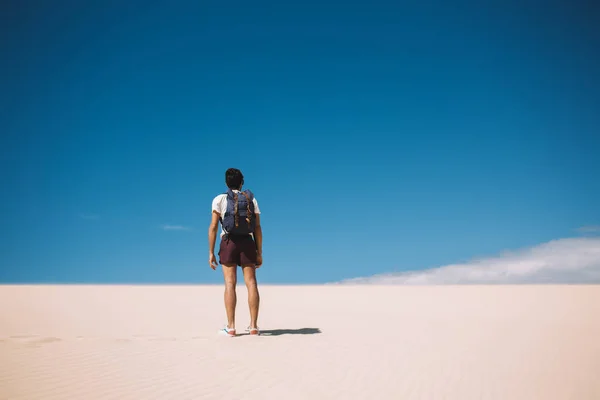 Back View Male Wanderer Exploring Wild Sahara Desert Summer Day — Stock Photo, Image