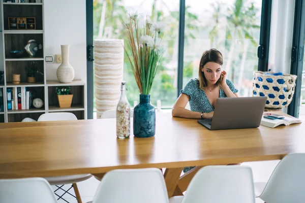 Young Focused Woman Casual Outfit Surfing Internet Laptop While Having — Stock Photo, Image