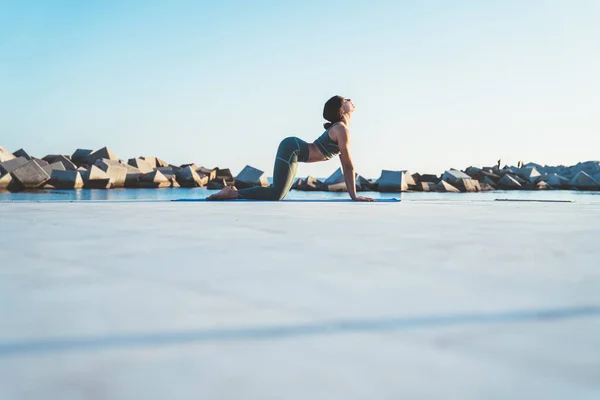 Seitenansicht Einer Jungen Attraktiven Frau Sportbekleidung Die Yoga Katzen Kuh — Stockfoto