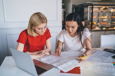 Genç, zeki, konsantre olmuş, gündelik giysiler içinde, dizüstü bilgisayarla çalışan, modern yaratıcı çalışma plağındaki belgeleri kontrol eden, çok kültürlü kadınlar.