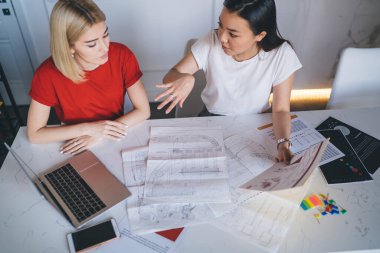 Gündelik giysiler içinde, masada oturmuş, modern ofisin çizelgelerine bakarak çalışan zeki, odaklanmış, çok kültürlü genç kadınlar.