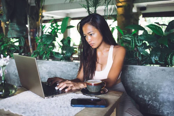 Serious Attentive Asian Lady Casual Clothes Focusing Screen Interacting Laptop — Stock Photo, Image