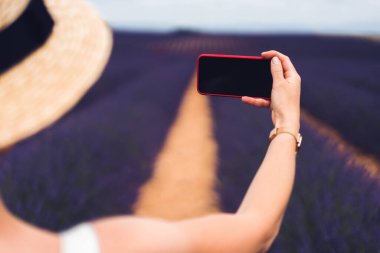 Fransa 'nın Provence kentindeki lavanta tarlalarında tatildeyken elinde boş ekranla fotoğraf çeken, şapkalı, tanınmayan bir kadının arka plan görüntüsü.