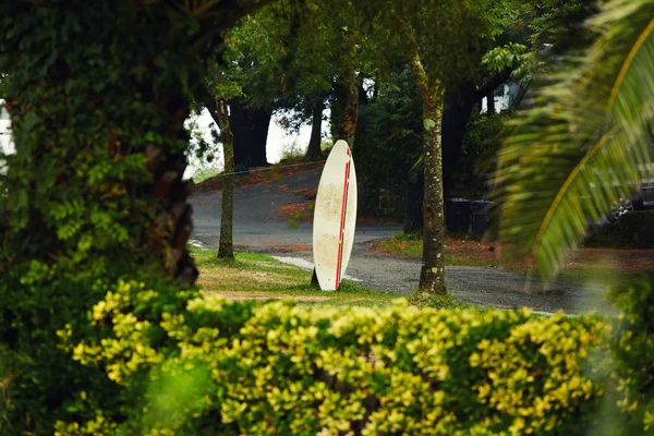 Surfbrett im Freien — Stockfoto