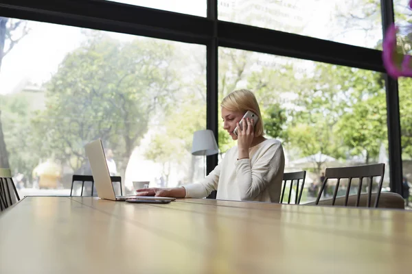 Female freelancer or student working busy on net-book Stock Picture