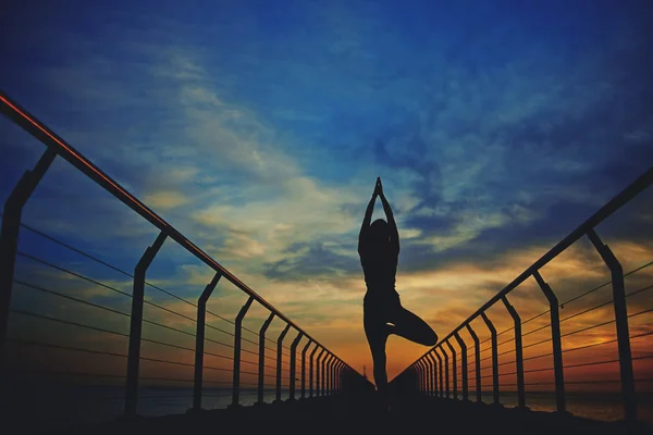 Silhouette di una donna impegnarsi yoga — Foto Stock