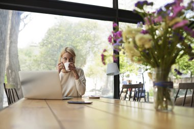 Student learning online at coffee shop