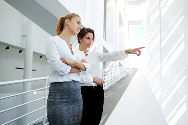 Zakenvrouw tonen iets aan haar partner — Stockfoto