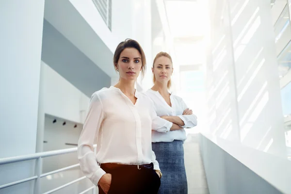 Team of  successful women with serious look — Stock Photo, Image