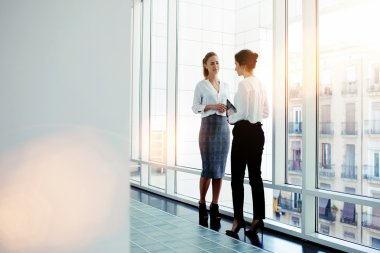 Konuşmayı iki iş kadınları