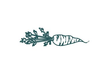 Karalama tarzında havuç. Beyaz arka planda izole edilmiş havuç. Vektör illüstrasyonu