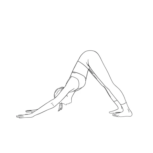 Yoga orientado hacia abajo Pose Dog o Svanasana. Armonía del yoga femenino. Ilustración vectorial — Archivo Imágenes Vectoriales