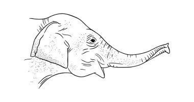 Fil kafası profili beyaz arka planda izole edilmiş. Oymalı Asya fili. Vektör illüstrasyonu