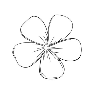Frangipani ya da Plumeria egzotik yaz çiçeği. Kabartmalı frangipani çiçeği beyaz arka planda izole edilmiş. Vektör illüstrasyonu