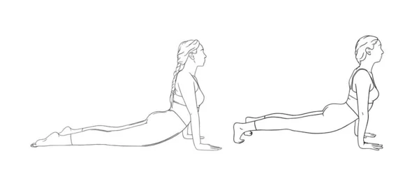 Yoga cobra y postura hacia arriba del perro. Asanas de Hatha yoga. Ilustración vectorial — Vector de stock