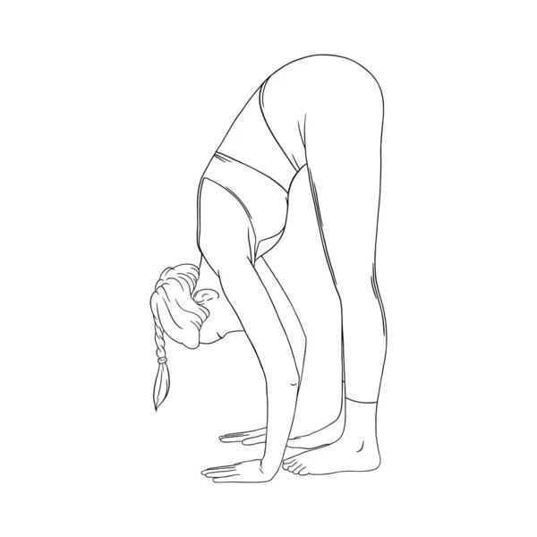 Stretching yogi donna. Hatha yoga piega in avanti posa. Illustrazione vettoriale su sfondo bianco — Vettoriale Stock