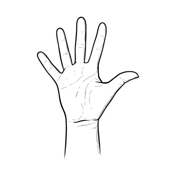 Cinq doigts levés pour dire bonjour. Highfive geste axpressinf approbation ou salutation. Illustration vectorielle isolée en fond blanc — Image vectorielle