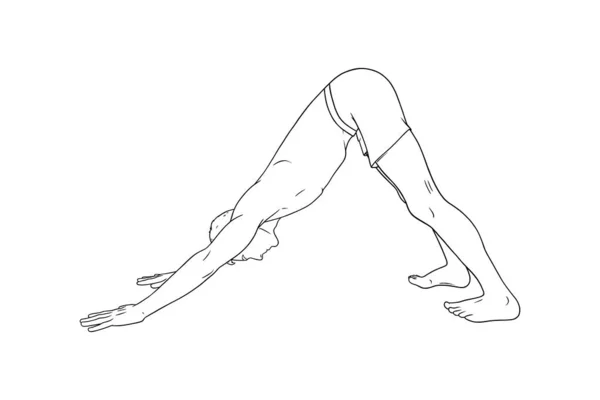 Yoga Downward Facing Dog Pose or Svanasana. Man practicing yoga. Sketch vector illustration — Vettoriale Stock