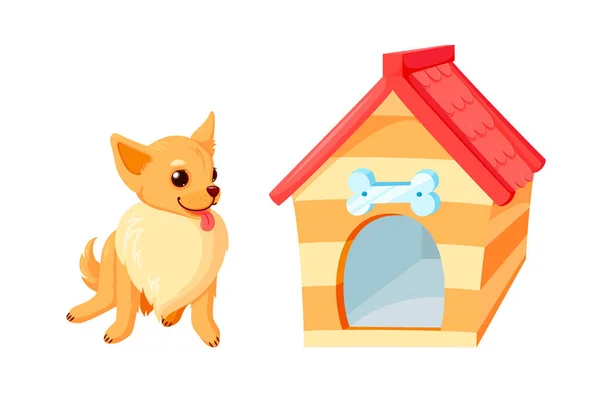 Σκυλί τσιουάουα και κυνοτροφείο με μπολ. Ξύλινο σκυλόσπιτο με κόκκινη στέγη απομονωμένο σε λευκό φόντο. Εικονογράφηση διανύσματος — Διανυσματικό Αρχείο