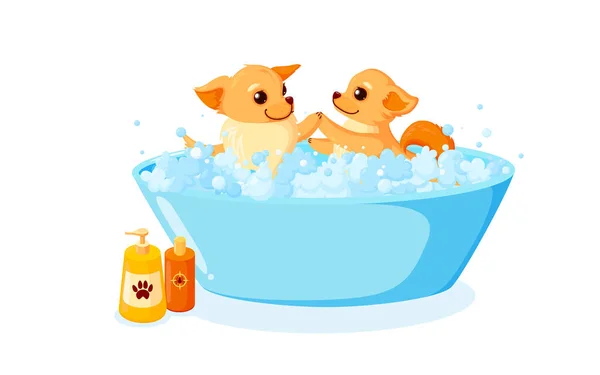Περιποίηση σκύλων σε μπανιέρα με σαμπουάν. Τσιουάουα σε αφρό σαπουνιού απομονωμένο σε λευκό φόντο. Εικονογράφηση διανύσματος — Διανυσματικό Αρχείο