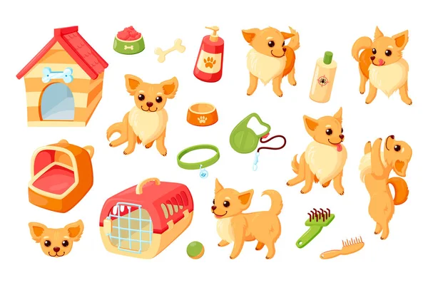 Cane chihuahua con cuccia, trasportino, giocattoli e roba da toelettatura. Cucciolo di chihuahua con accessori per animali domestici. Illustrazione vettoriale — Vettoriale Stock
