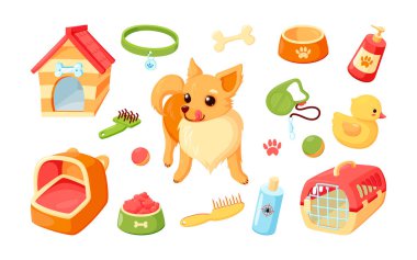 Köpek kulübesi, taşıyıcı, oyuncaklar ve bakım malzemeleri olan bir Chihuahua köpeği. Aksesuarlı bir köpek yavrusu. Vektör illüstrasyonu