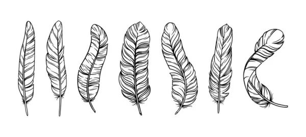 Перья в винтажном стиле Бохо. Набор племенных птичьих перьев выделен на белом фоне. Векторная иллюстрация — стоковый вектор