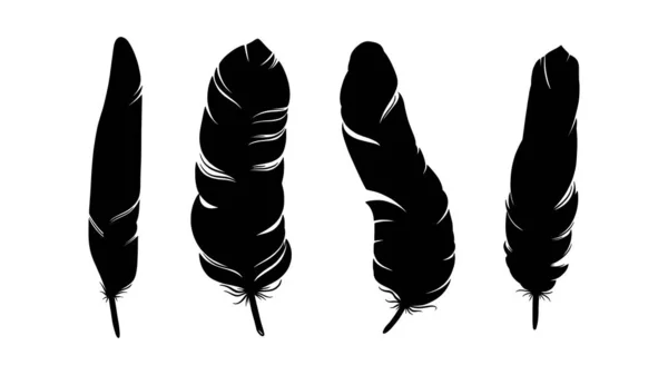 Силуэт птичьего перья. Декоративный набор перьев выделен на белом фоне. Векторная иллюстрация — стоковый вектор