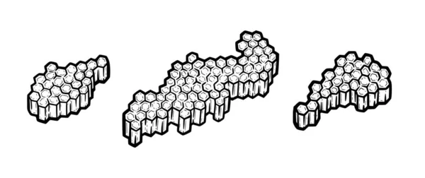 Hoheycombs cheios de mel. Pedaços de pentes com células hexagonais. Ilustração do vetor monocromático — Vetor de Stock
