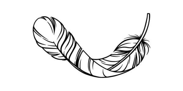 Набросок птичьего перышка. Изогнутое декоративное перо на белом фоне. Векторная иллюстрация — стоковый вектор