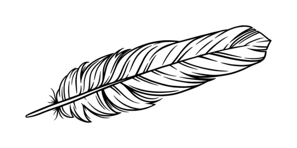 Птичье перо за перо. Перо почерка выделено на белом фоне. Векторная иллюстрация — стоковый вектор