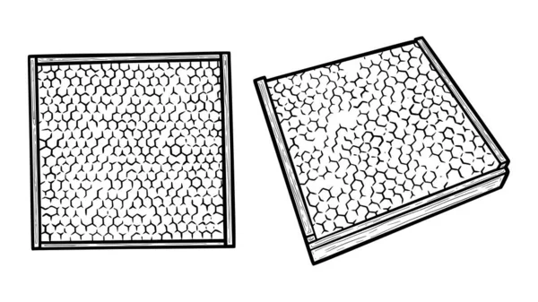 Honungsramar med bivax. Honeycombs i vaxstiftelse och träram. Vektorillustration — Stock vektor