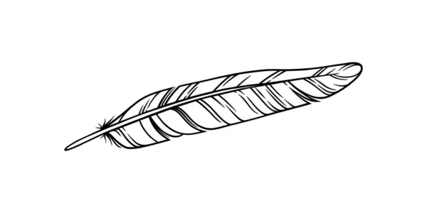 Φτερό πουλιού για μια πένα. Εικονογράφηση φτερό σκίτσο για ένα σχέδιο τατουάζ. Εικονογράφηση διανύσματος — Διανυσματικό Αρχείο