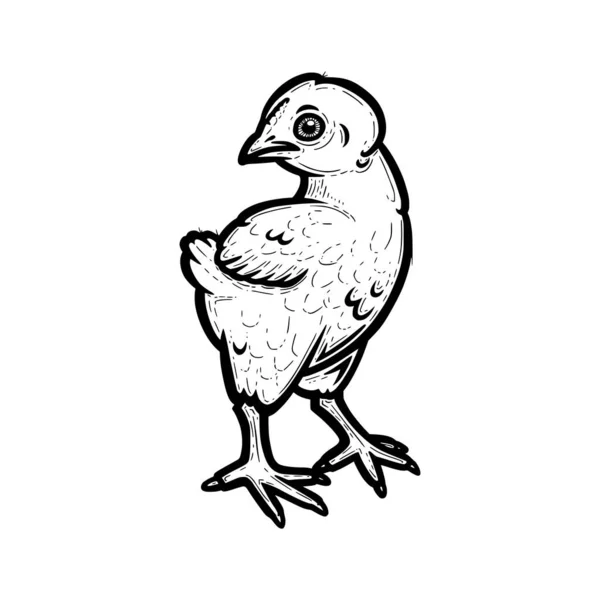 Realistisches Huhn auf weißem Hintergrund. Freiweidendes Küken in der Rinde. Vektorillustration — Stockvektor