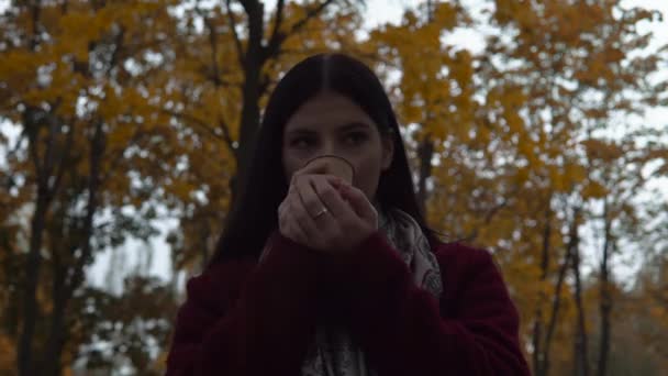 Femme marchant dans la rue, tenir une tasse de boissons chaudes dans les mains, automne froid — Video