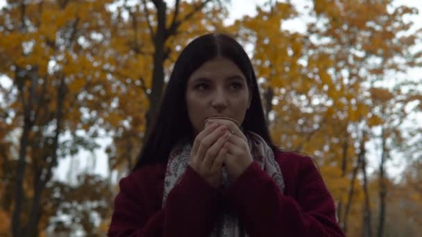 Mulher atraente andando no parque de outono, retrato de perto, tempo frio — Vídeo de Stock